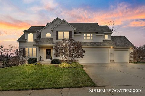 8617 Olde Meadow Drive NE Courtland Township MI 49341