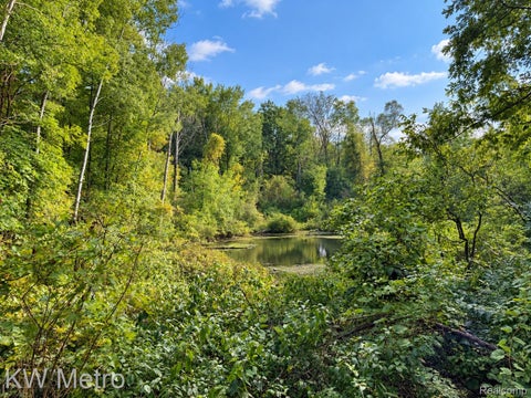 Photo for VL Sister Lake Road