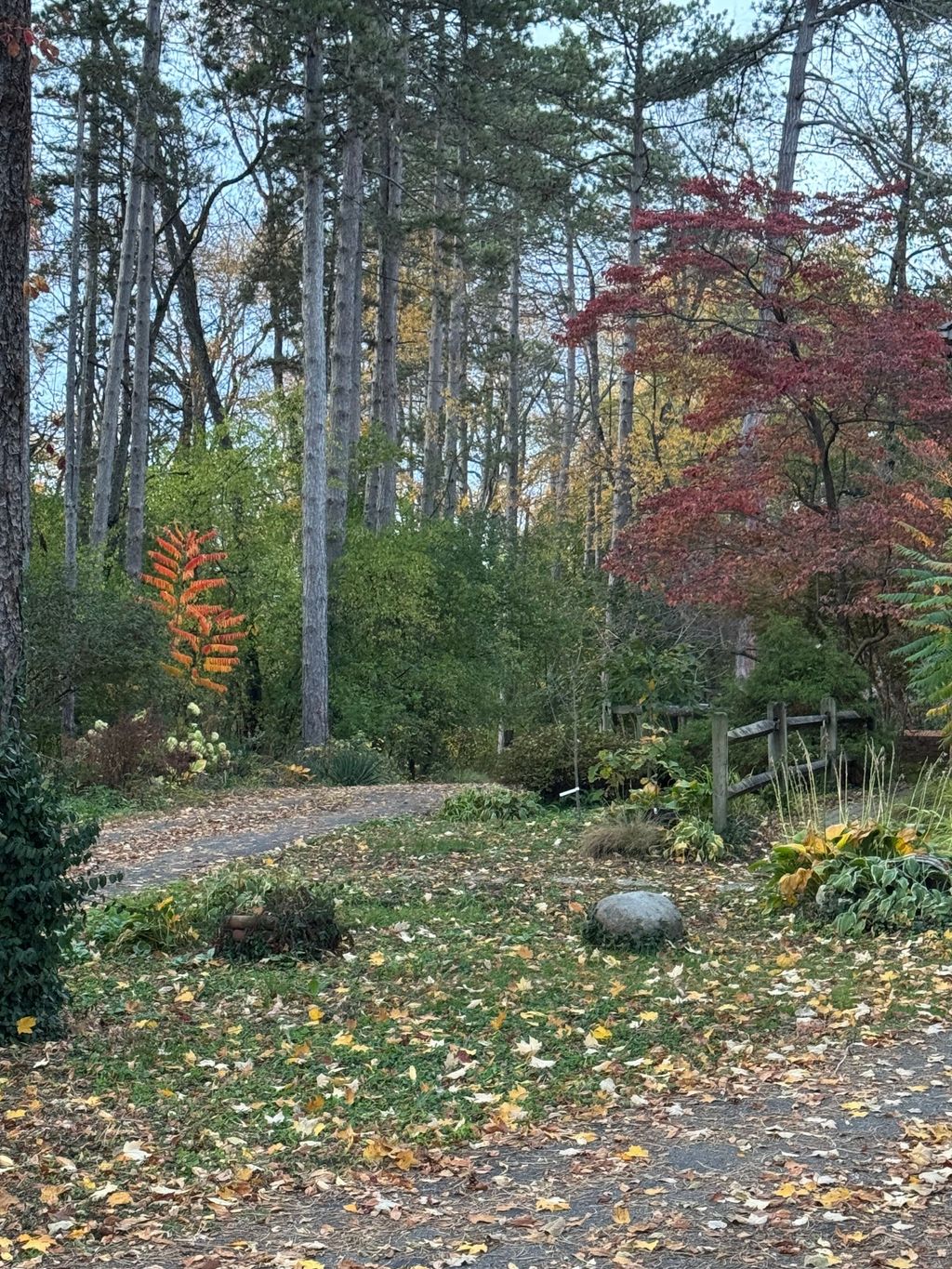 listing image 78