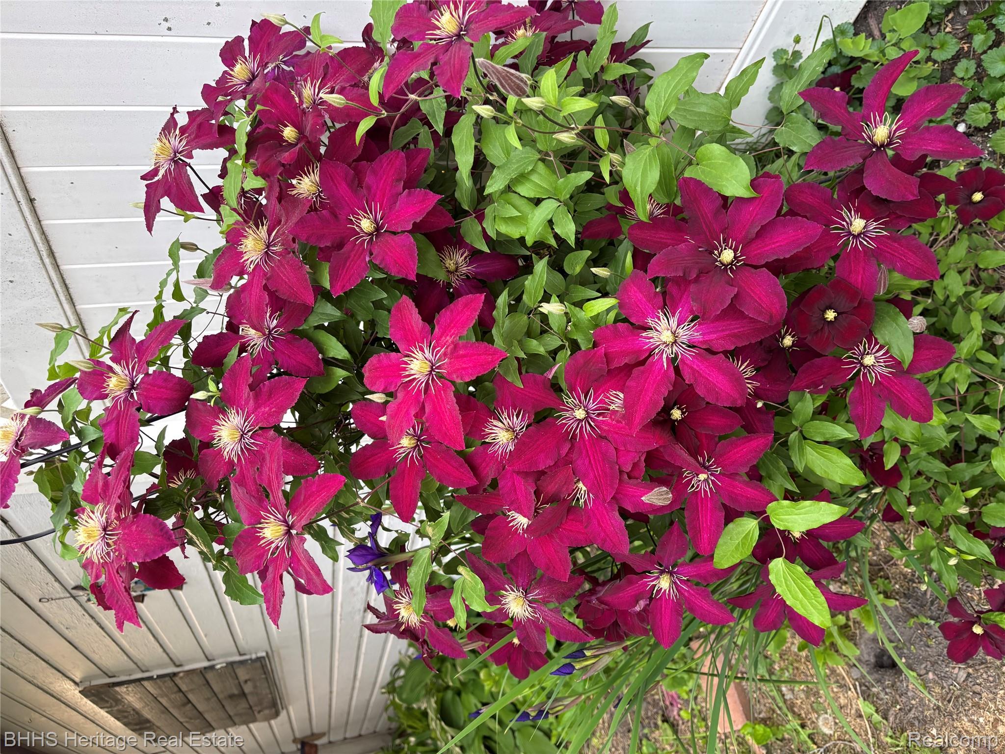 Durand City, Michigan 48429, United States, 4 Bedrooms Bedrooms, ,2 BathroomsBathrooms,Residential,Active,151582