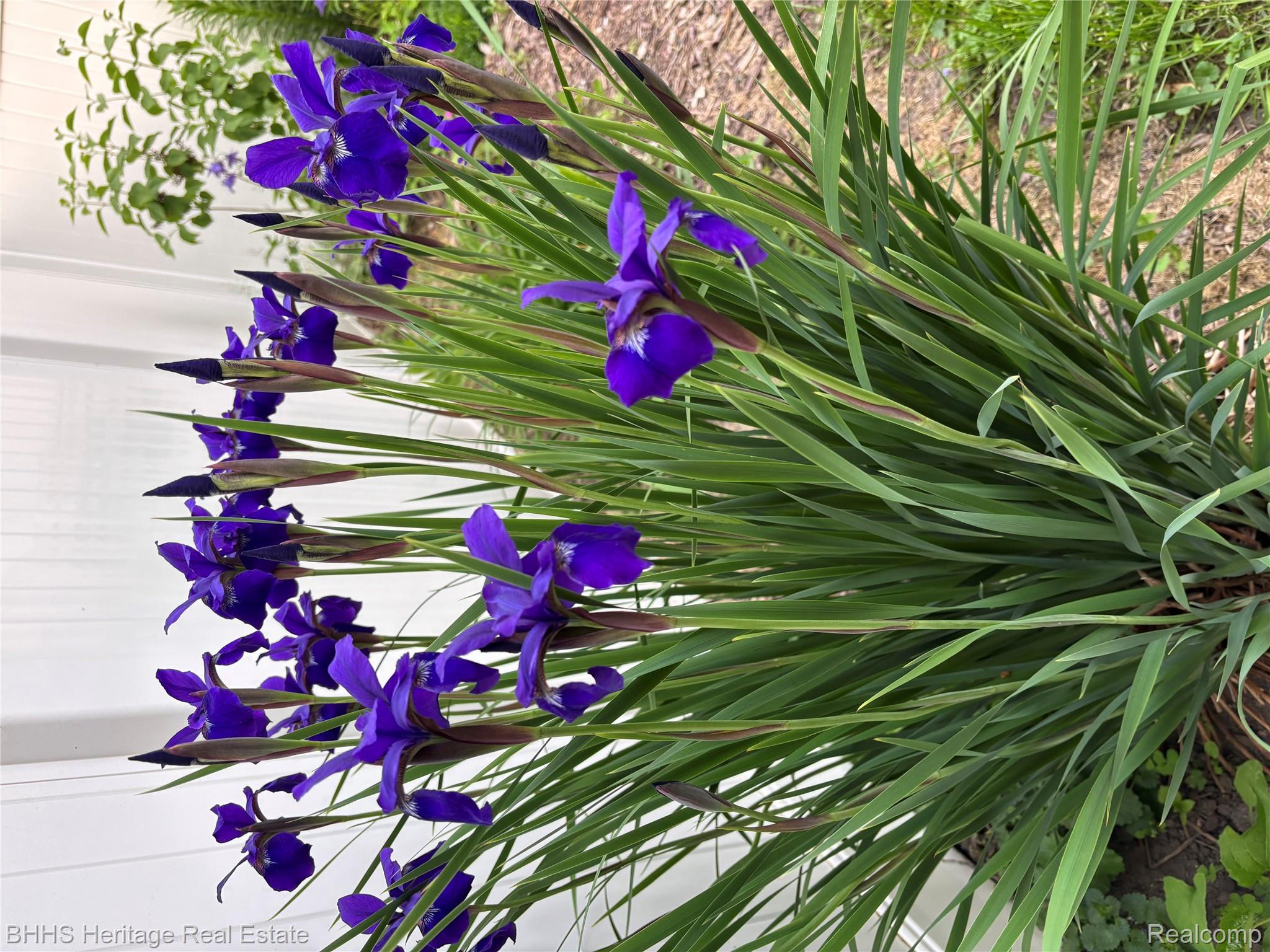 Durand City, Michigan 48429, United States, 4 Bedrooms Bedrooms, ,2 BathroomsBathrooms,Residential,Active,151582