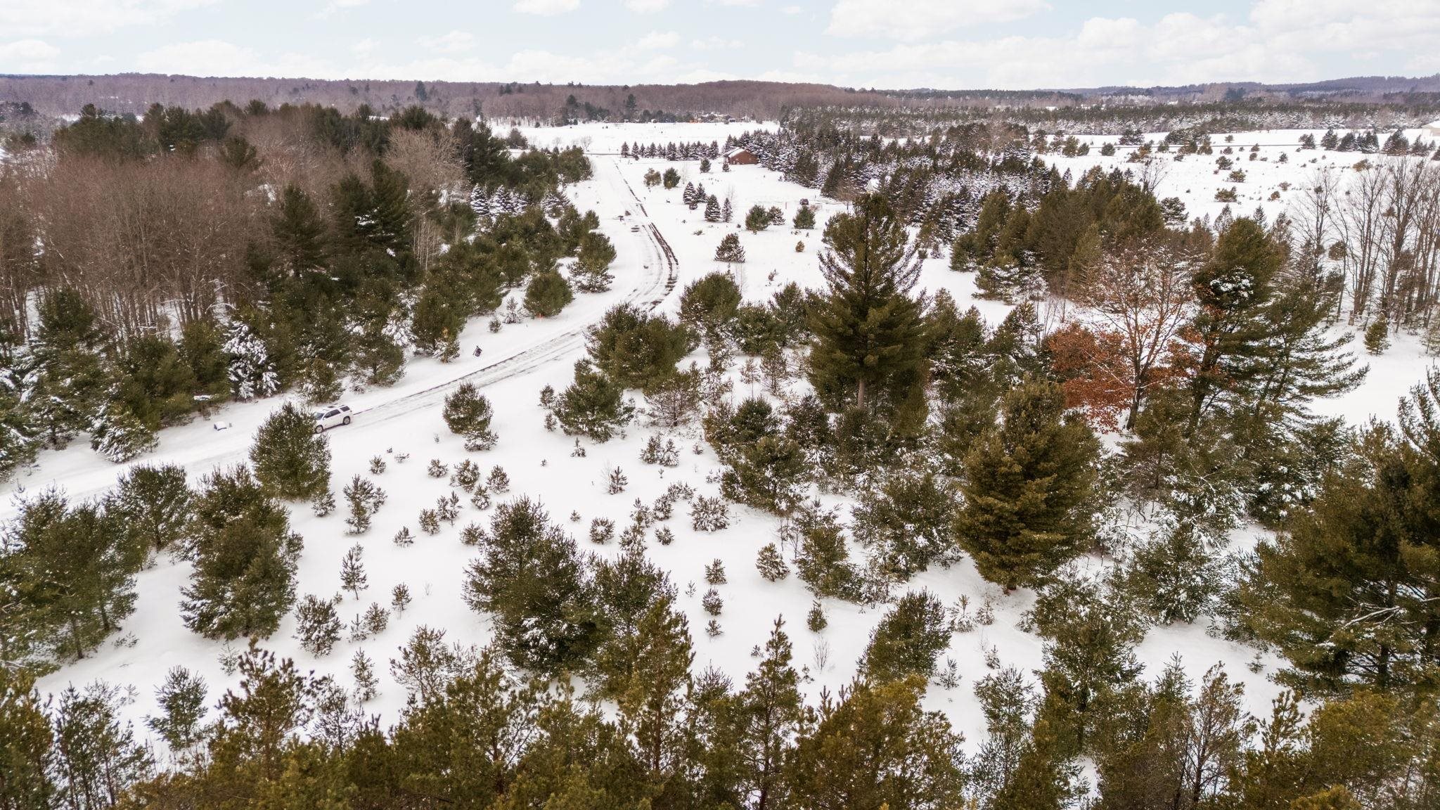 323 SE Blue Heron Drive