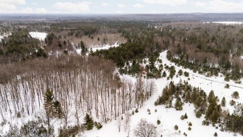 323 SE Blue Heron Drive Orange Township MI 49646