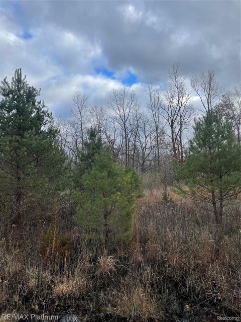 0 SEYMOUR Road Argentine Township MI 48451