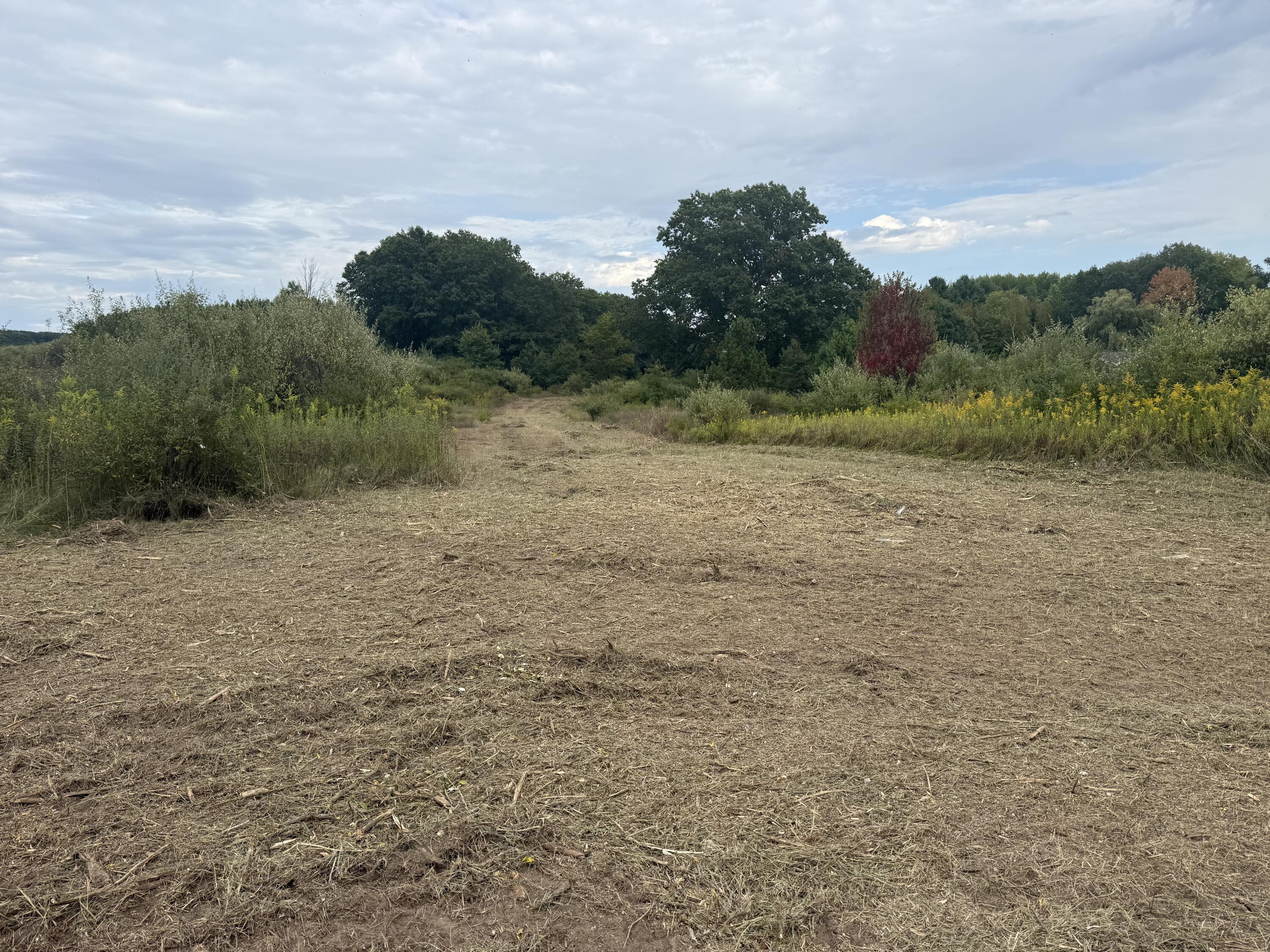 13384 Swistier Drive