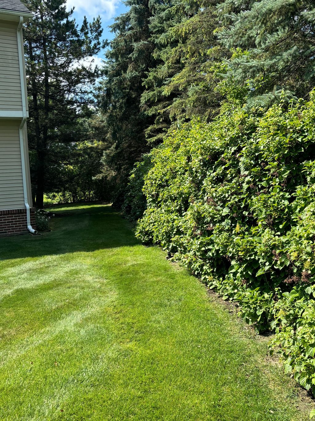 listing image 36