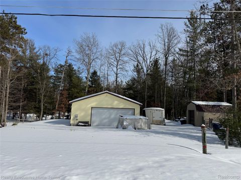 1281 Geesey Avenue Mentor Township MI 48647