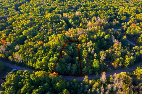 V/L Springdale Star Township MI 49730