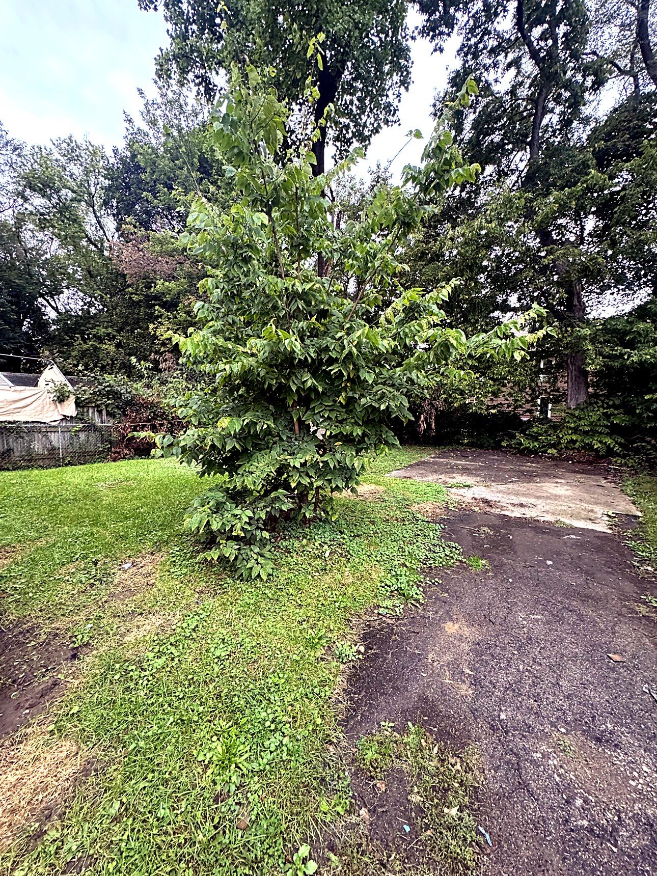 906 West Street