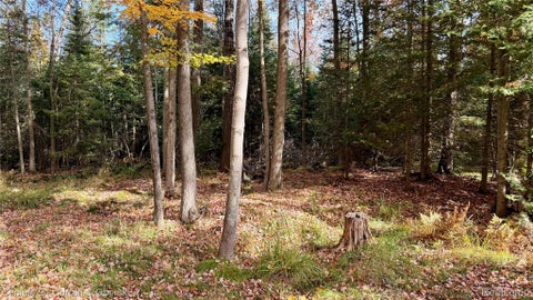 Tiny photo for 201 Meadow Lane, Denton Township, MI 48651 (MLS # 20261083066)