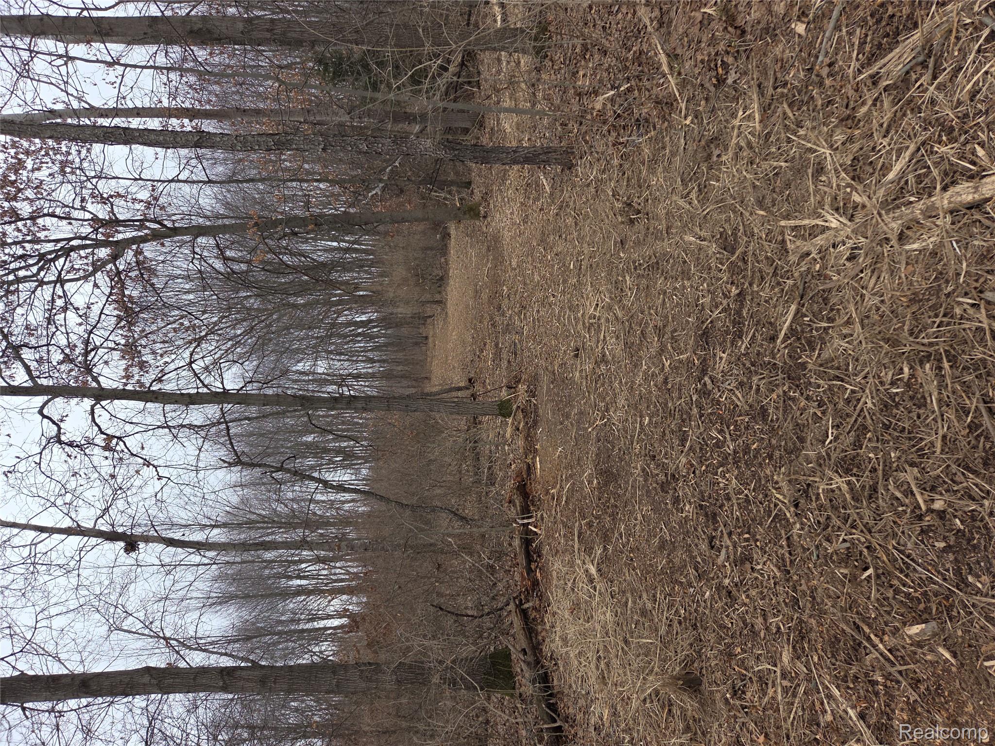 parcelA cullen rd cullen Road