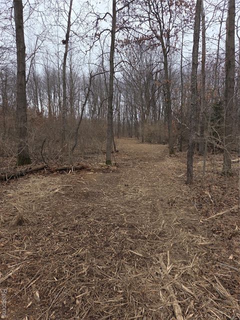 parcelA cullen rd cullen Road Hartland Township MI 48353