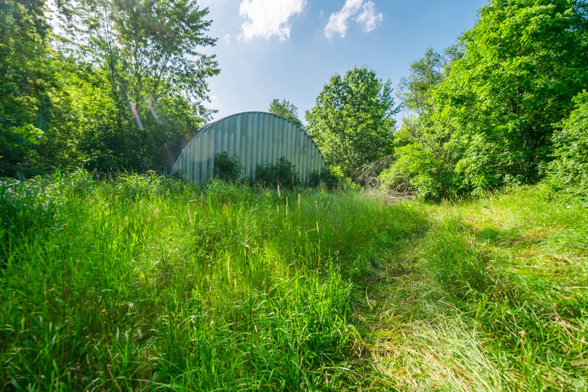 559 W Burr Oak