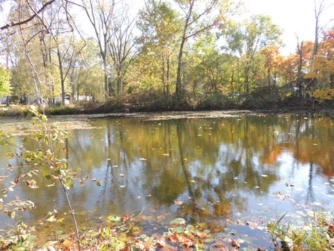 Tiny photo for 2507 Beach Court, Monterey Township, MI 49010 (MLS # 71026055804)