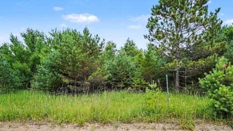 Photo for 000 Fletcher Road