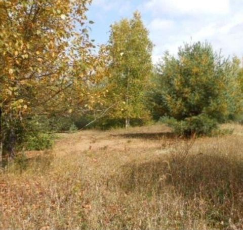 00 Pueblo Trail Evart Township MI 49631