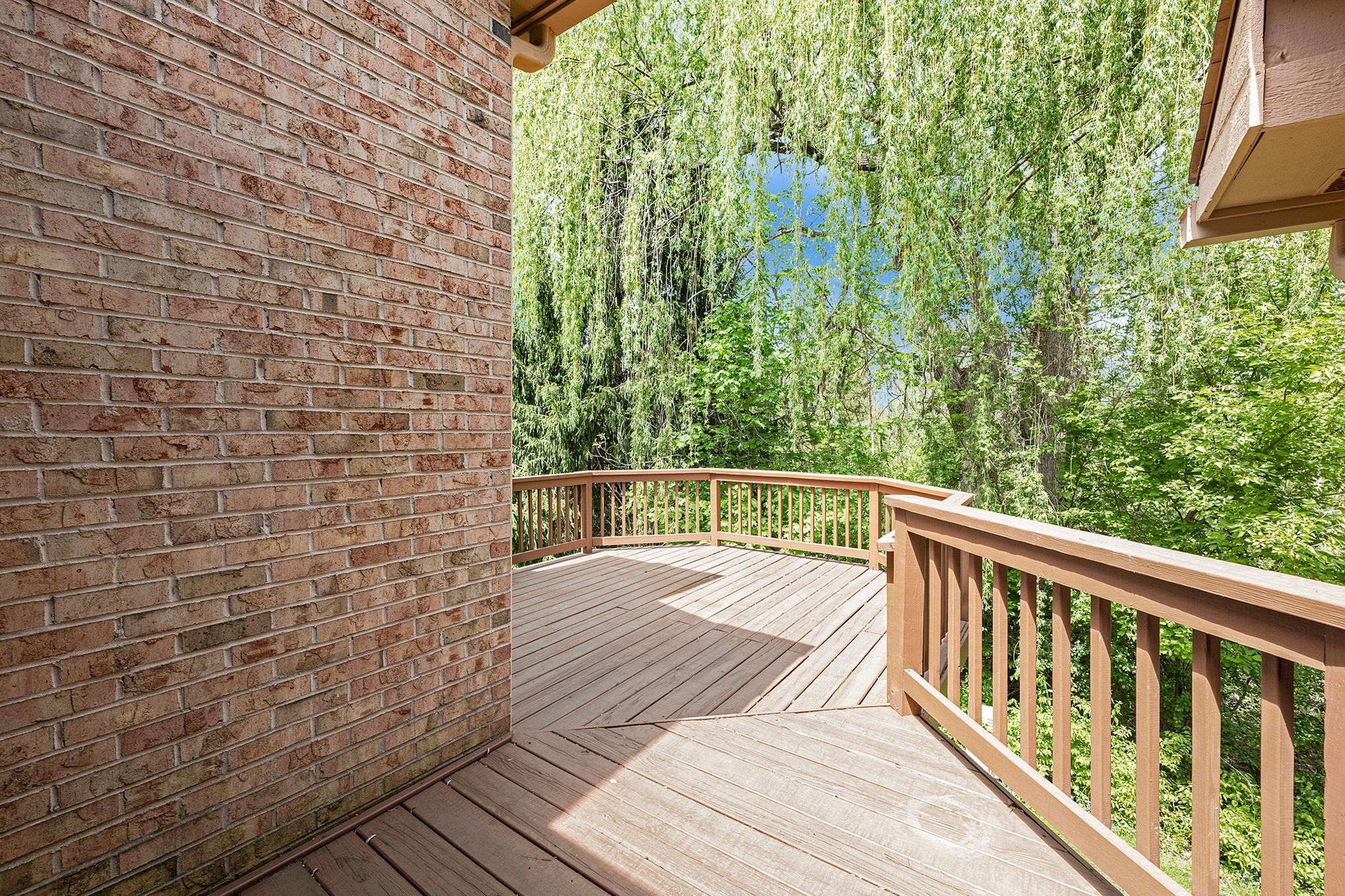 35300 BLUE SPRUCE Drive