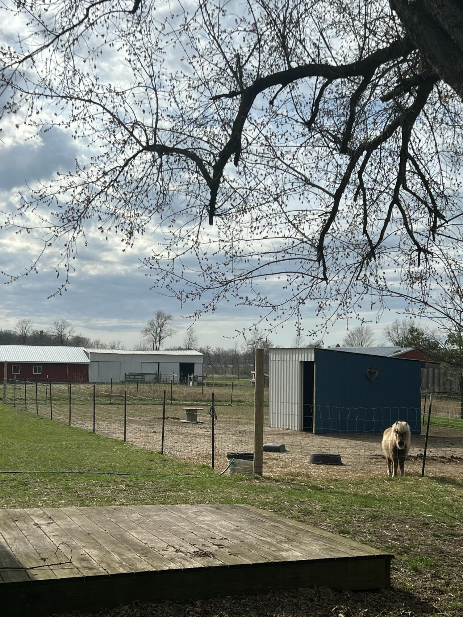 Sidney Township Montcalm, Michigan 48885, United States, 3 Bedrooms Bedrooms, ,1 BathroomBathrooms,Residential,Pending,115676