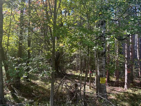 6195 110th Avenue Morton Township MI 49346