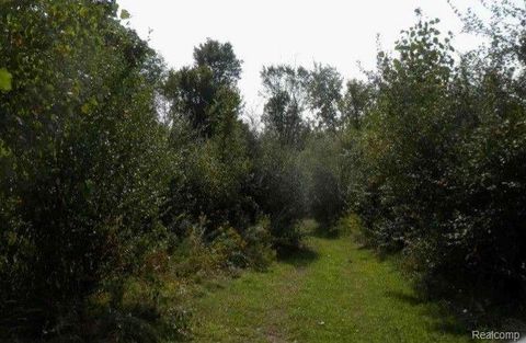 VL Genesee Road Parcel A Elba Township MI 48446