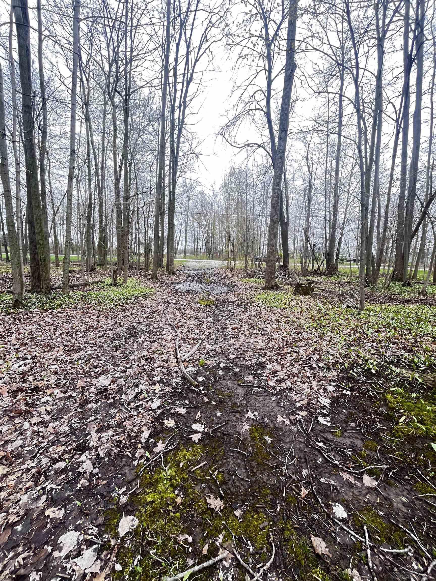 Fox Ridge Lane