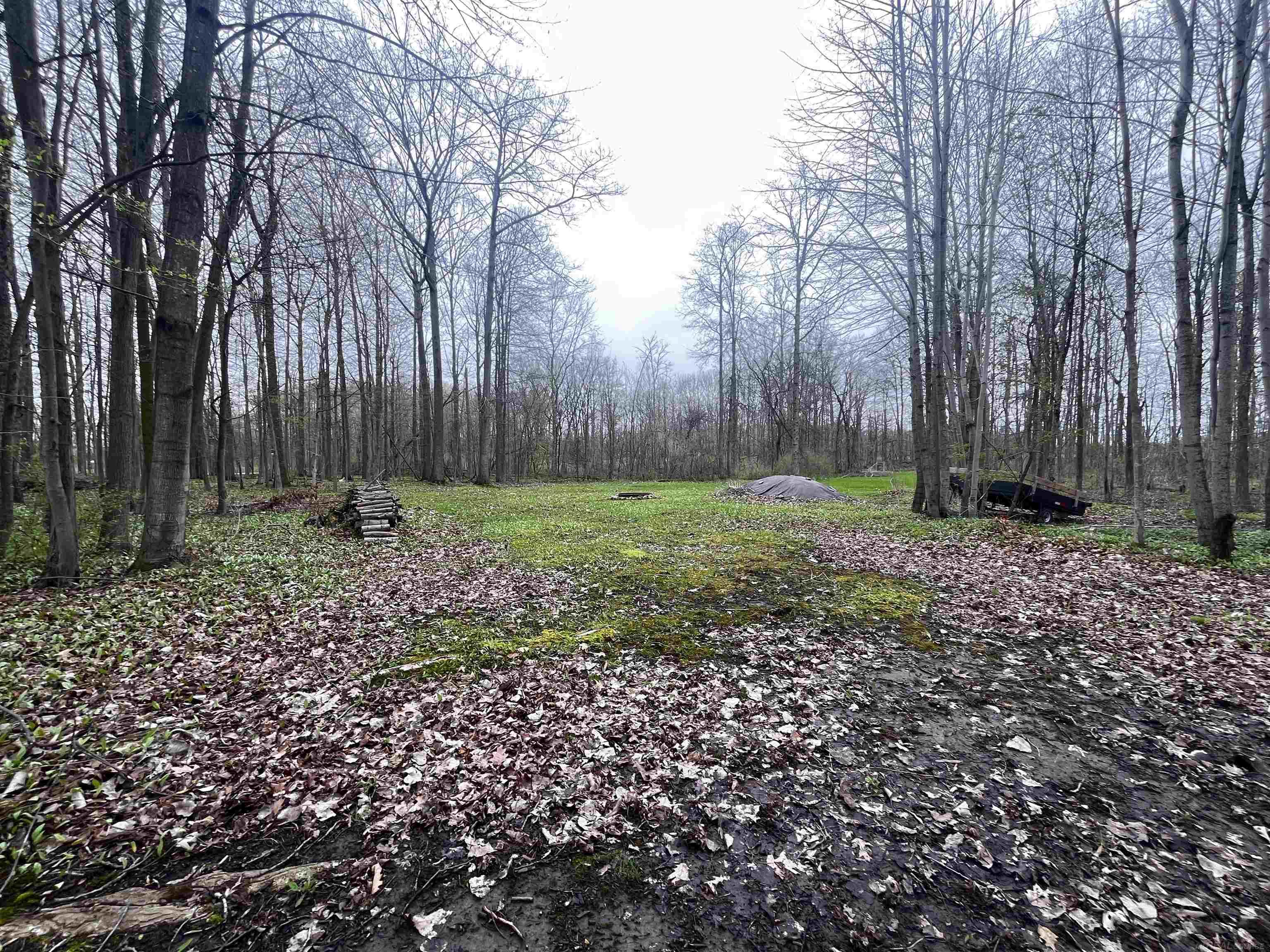 Fox Ridge Lane
