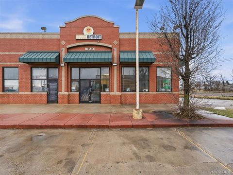 12547 Mack Avenue Detroit City MI 48215