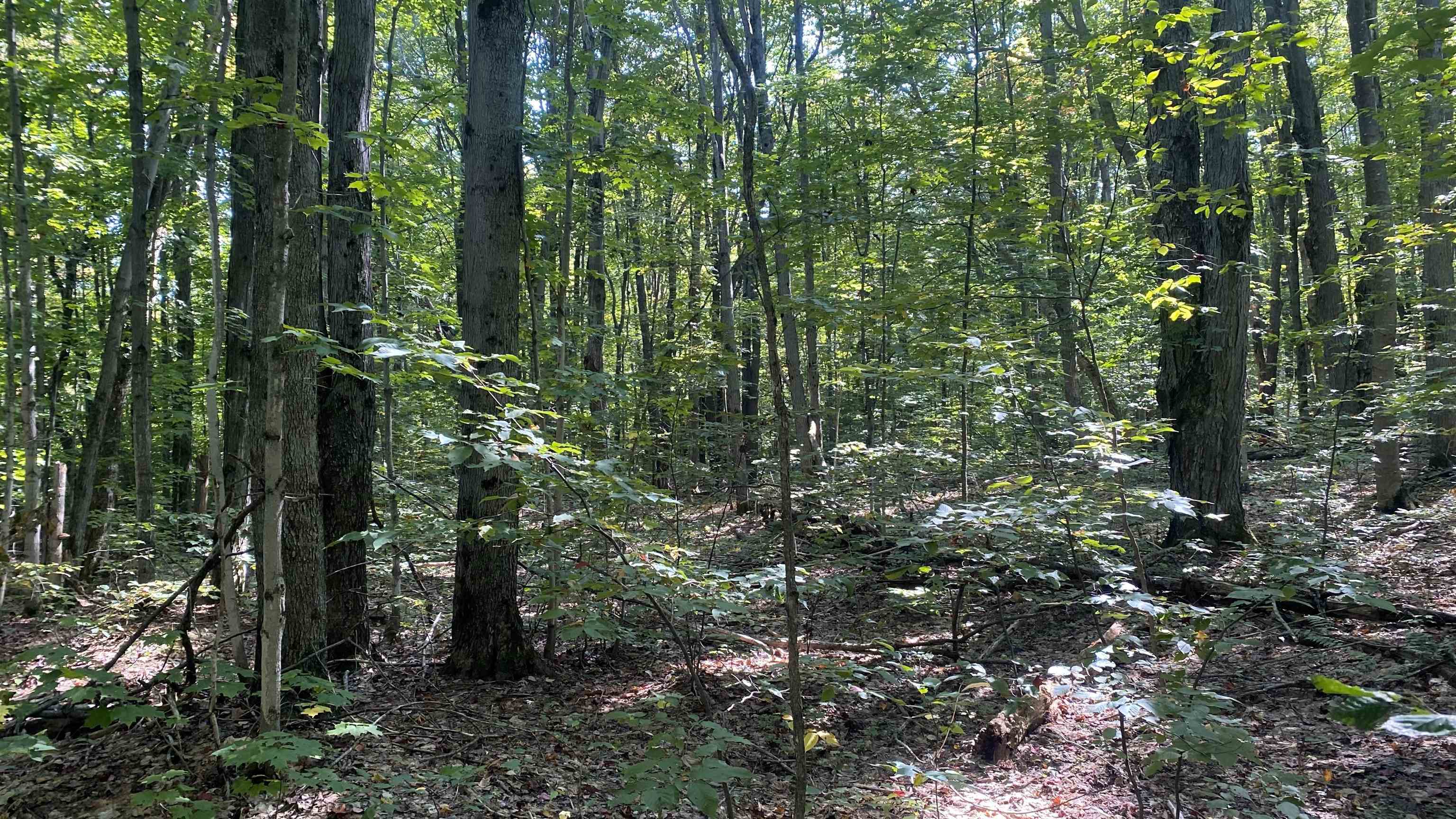 Lot 466 Northwood Drive