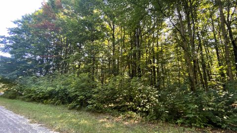 Lot 466 Northwood Drive Hayes Township MI 49730