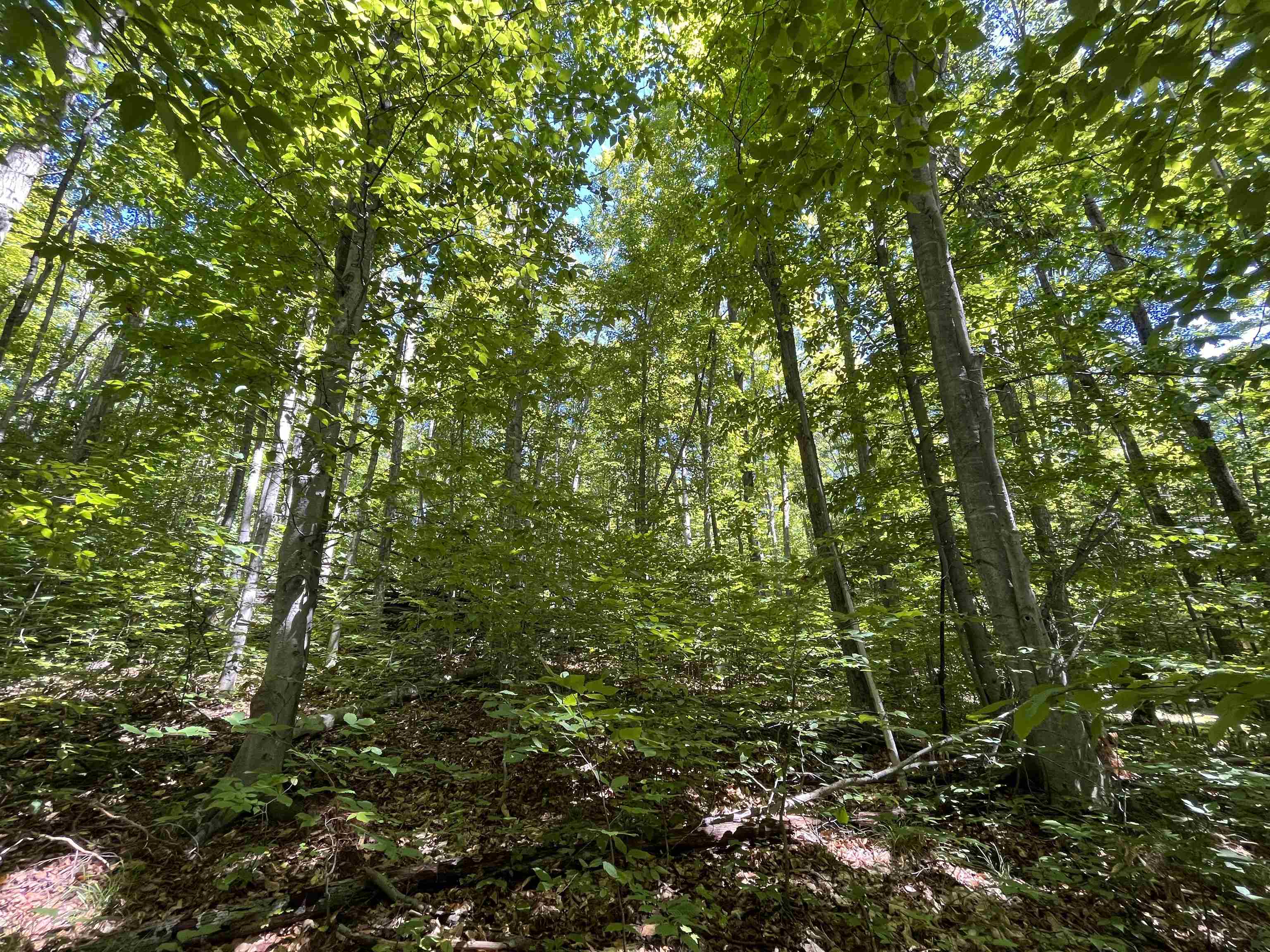 Lot 70 N Klaffen Strasse