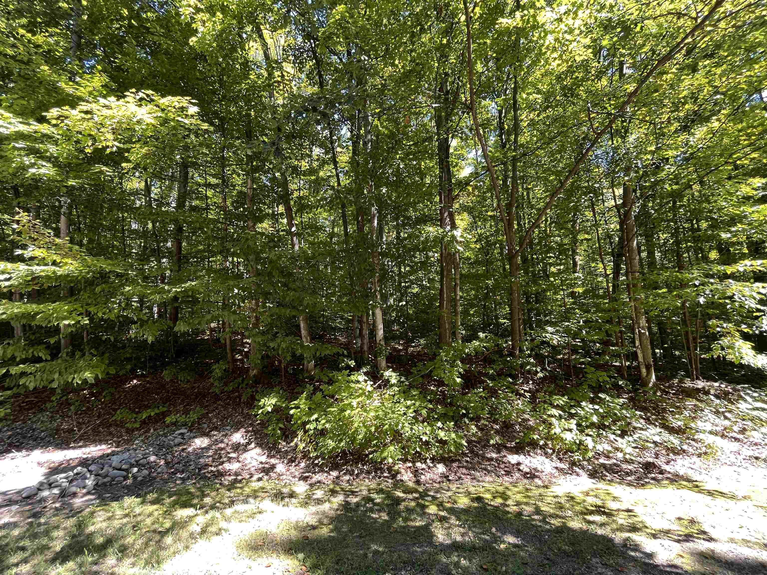 Lot 70 N Klaffen Strasse