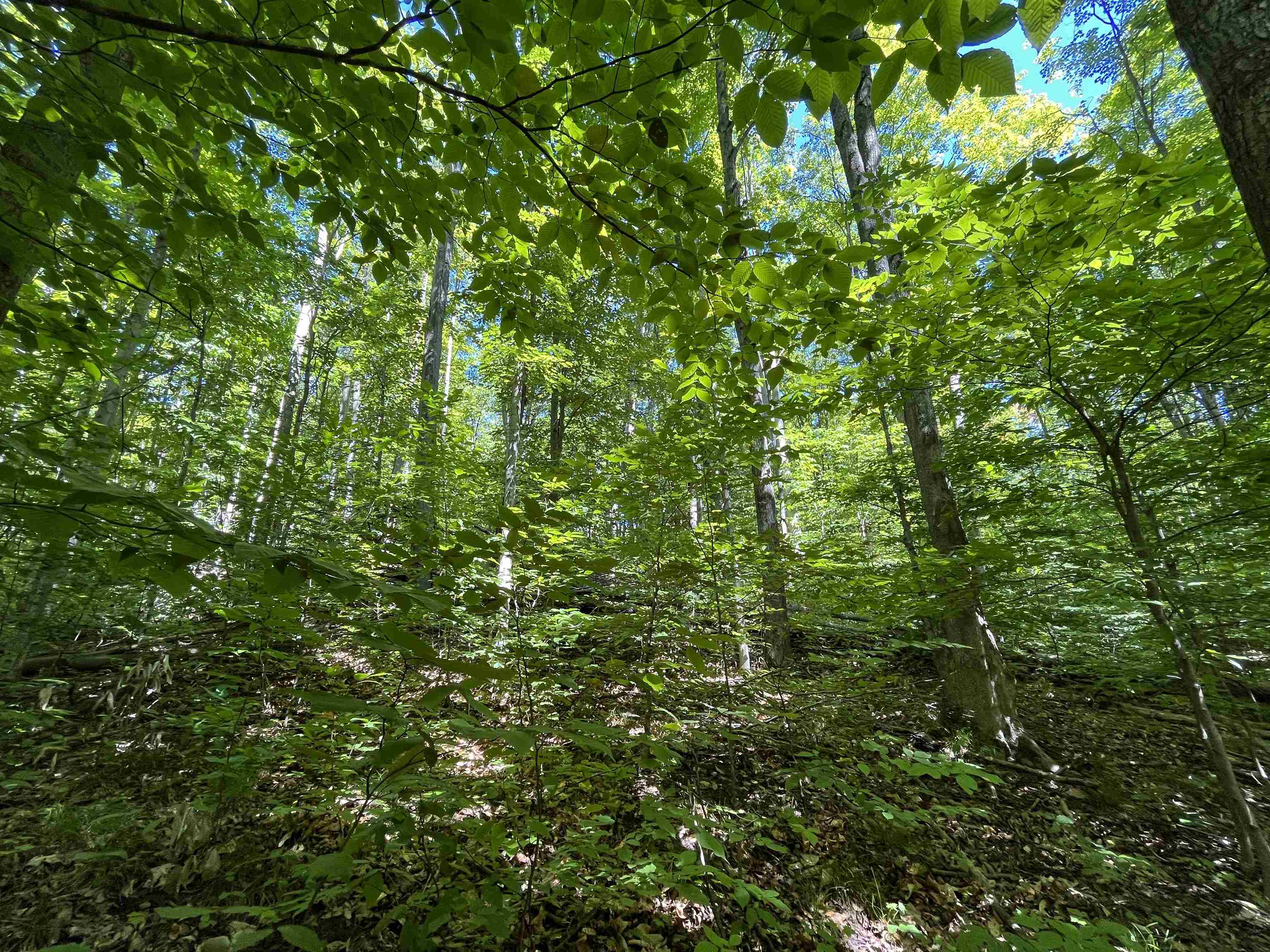 Lot 70 N Klaffen Strasse