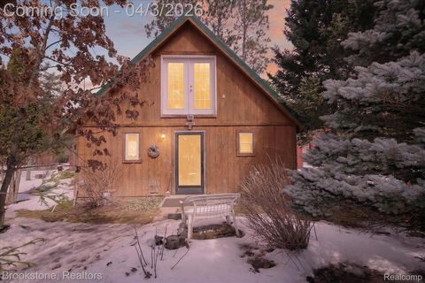 4163 Hanson Road Greenwood Township MI 49756