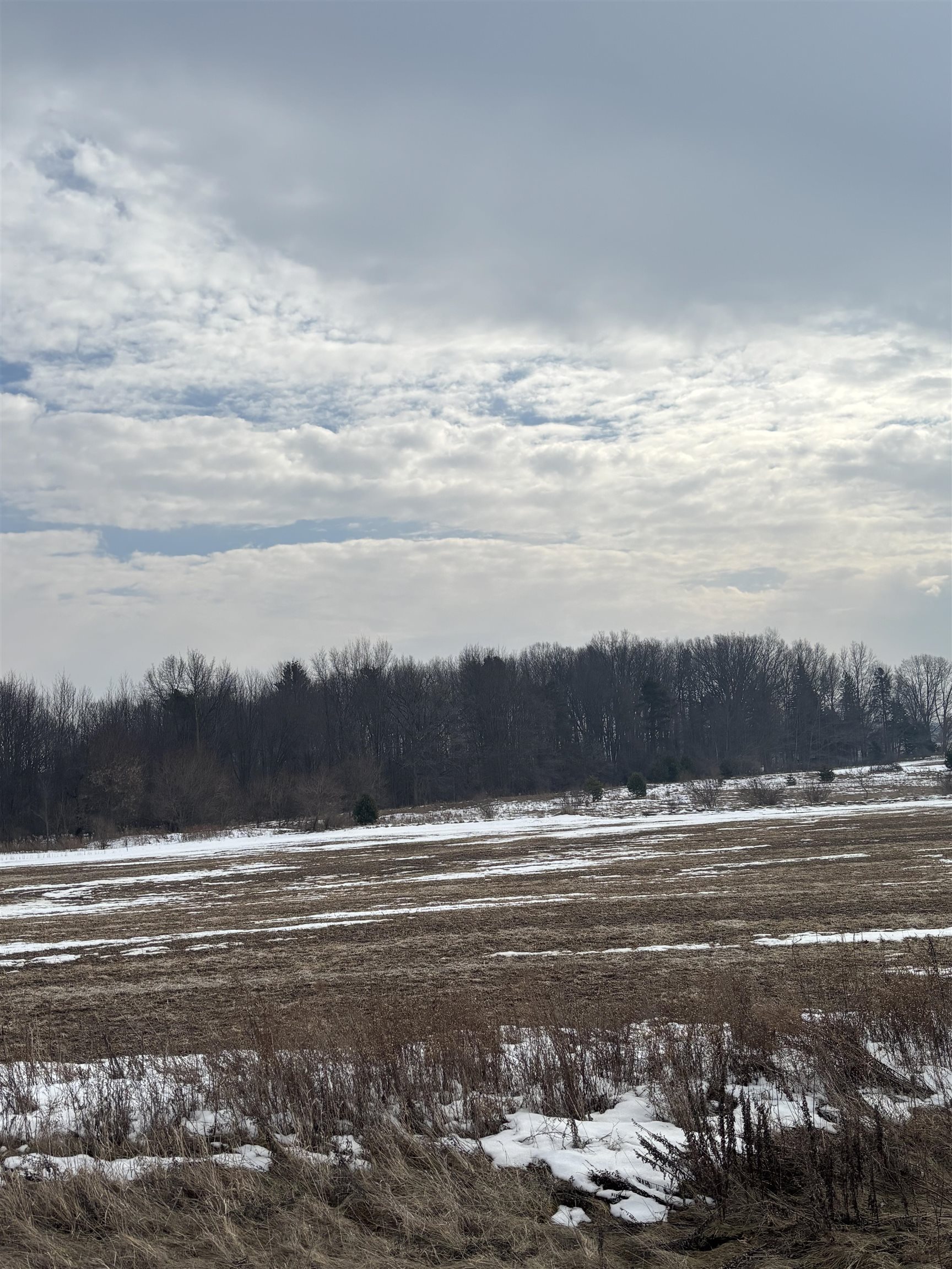 000 Pine Ridge Drive