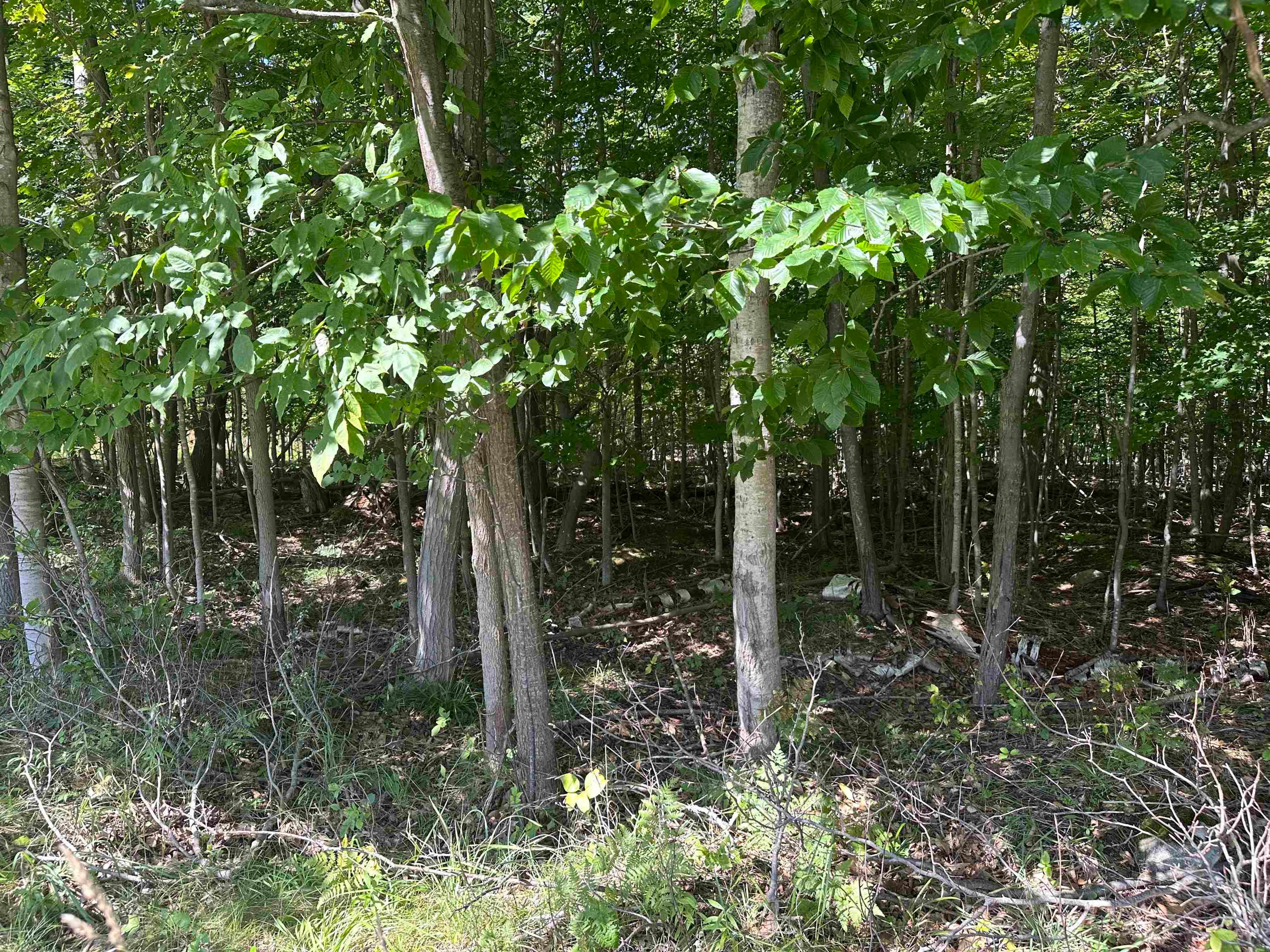 Lots 33,34,35 Bay Colony Road