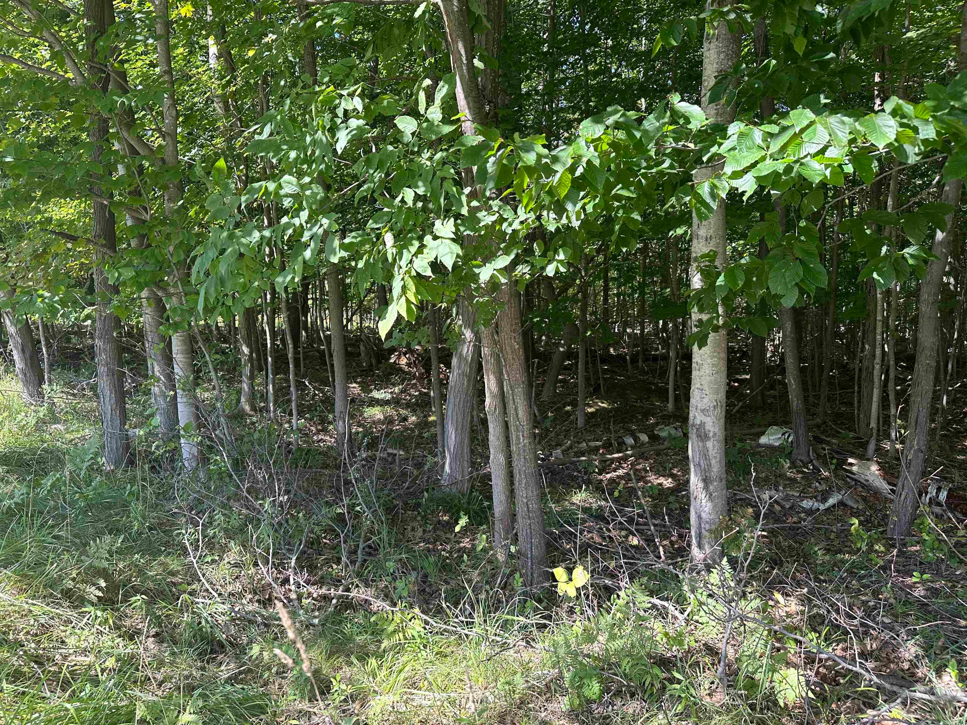 Lots 33,34,35 Bay Colony Road