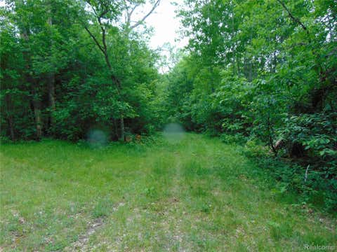 Tiny photo for 5055 Adams Road, Sherman Township, MI 48624 (MLS # 20261060215)