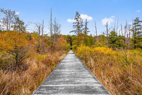 Tiny photo for 7184 Sanctuary Drive, Leoni Township, MI 49201 (MLS # 56050201457)