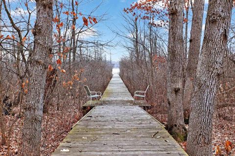 Tiny photo for 7184 Sanctuary Drive, Leoni Township, MI 49201 (MLS # 56050201457)