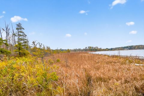 Tiny photo for 7184 Sanctuary Drive, Leoni Township, MI 49201 (MLS # 56050201457)