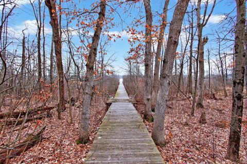 Tiny photo for 7184 Sanctuary Drive, Leoni Township, MI 49201 (MLS # 56050201457)