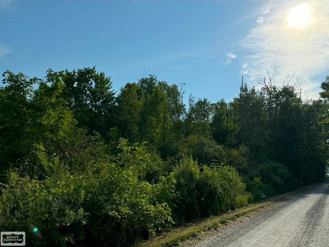 Sullivan Road