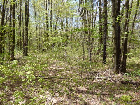 00 Valleywood Circle Hayes Township MI 49730