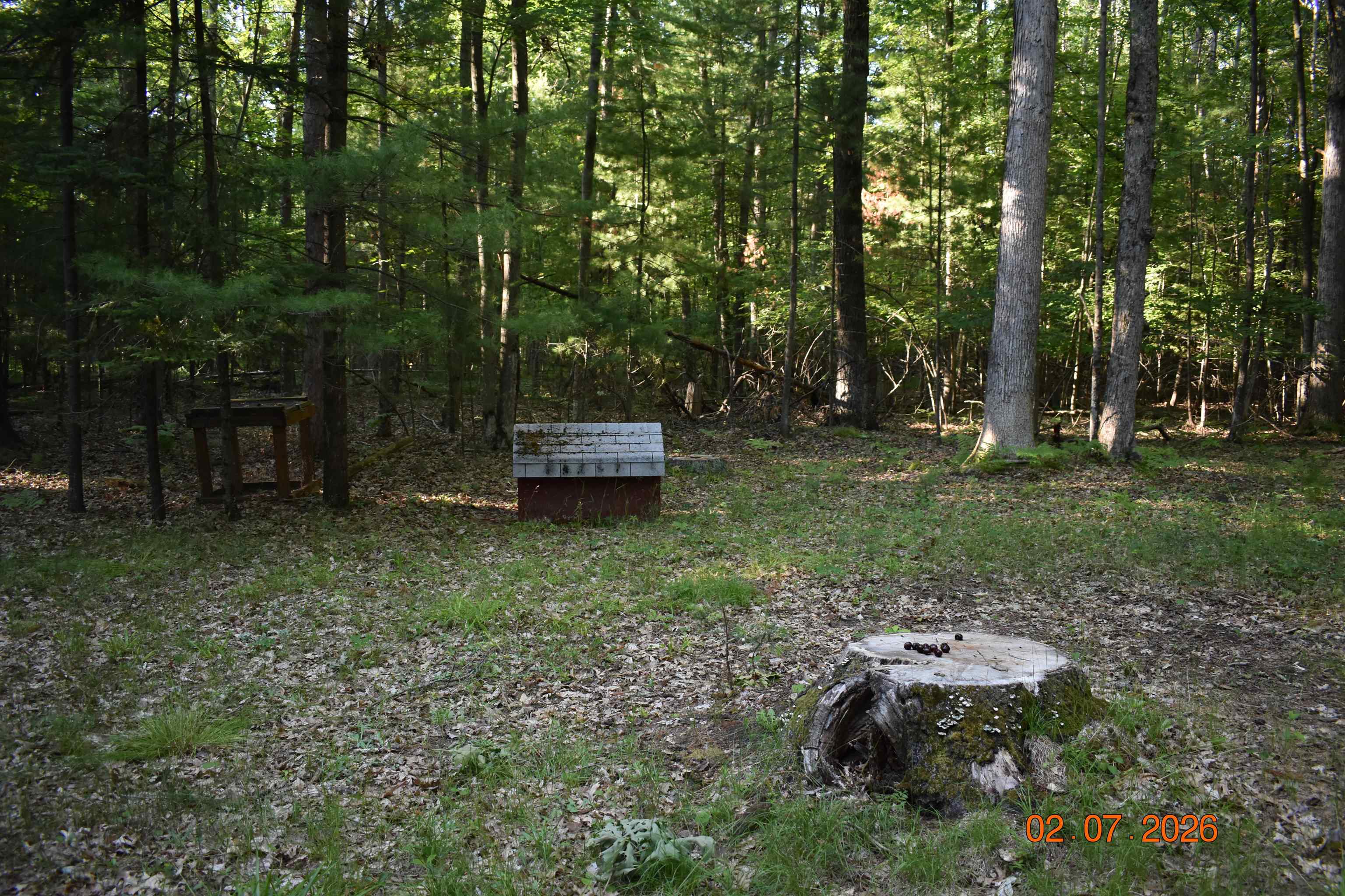 2425 Cora Lane