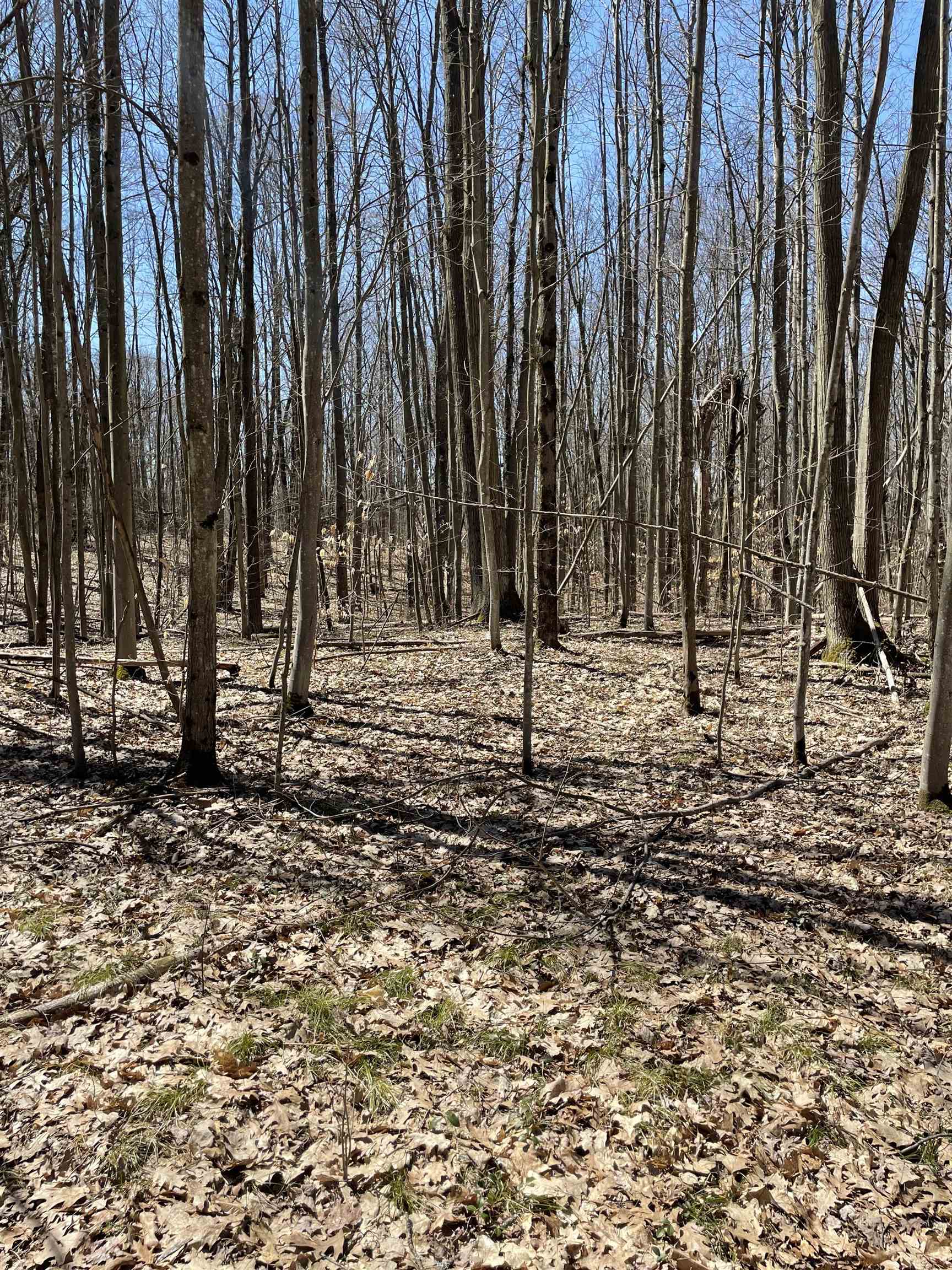 8895 Grandview Trail