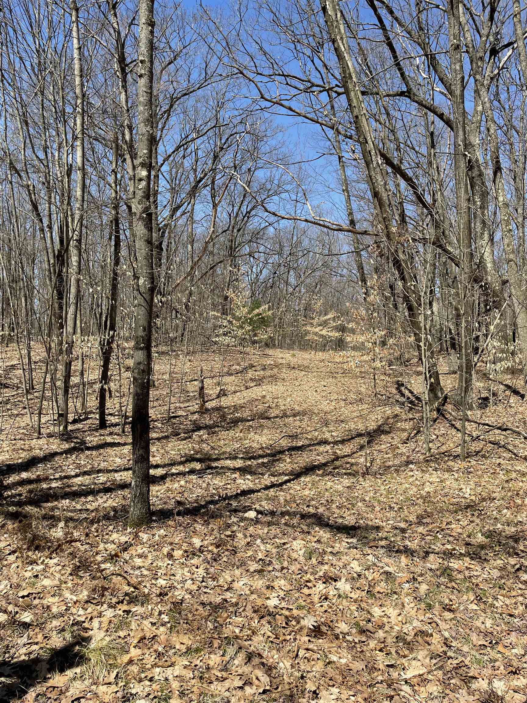 8895 Grandview Trail