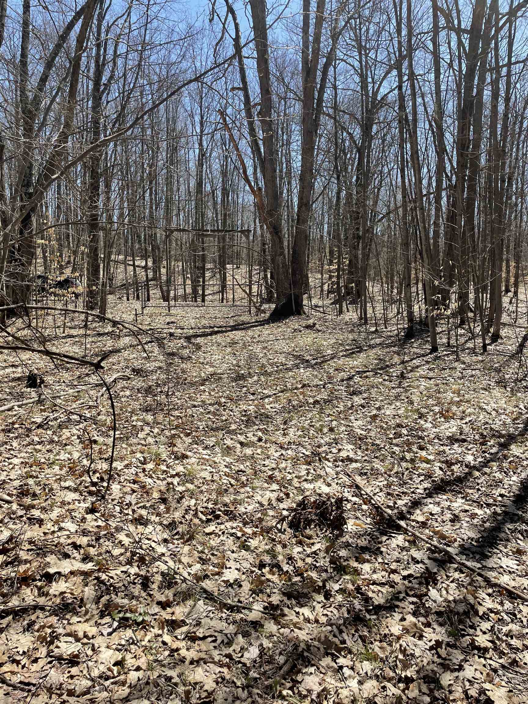 8895 Grandview Trail