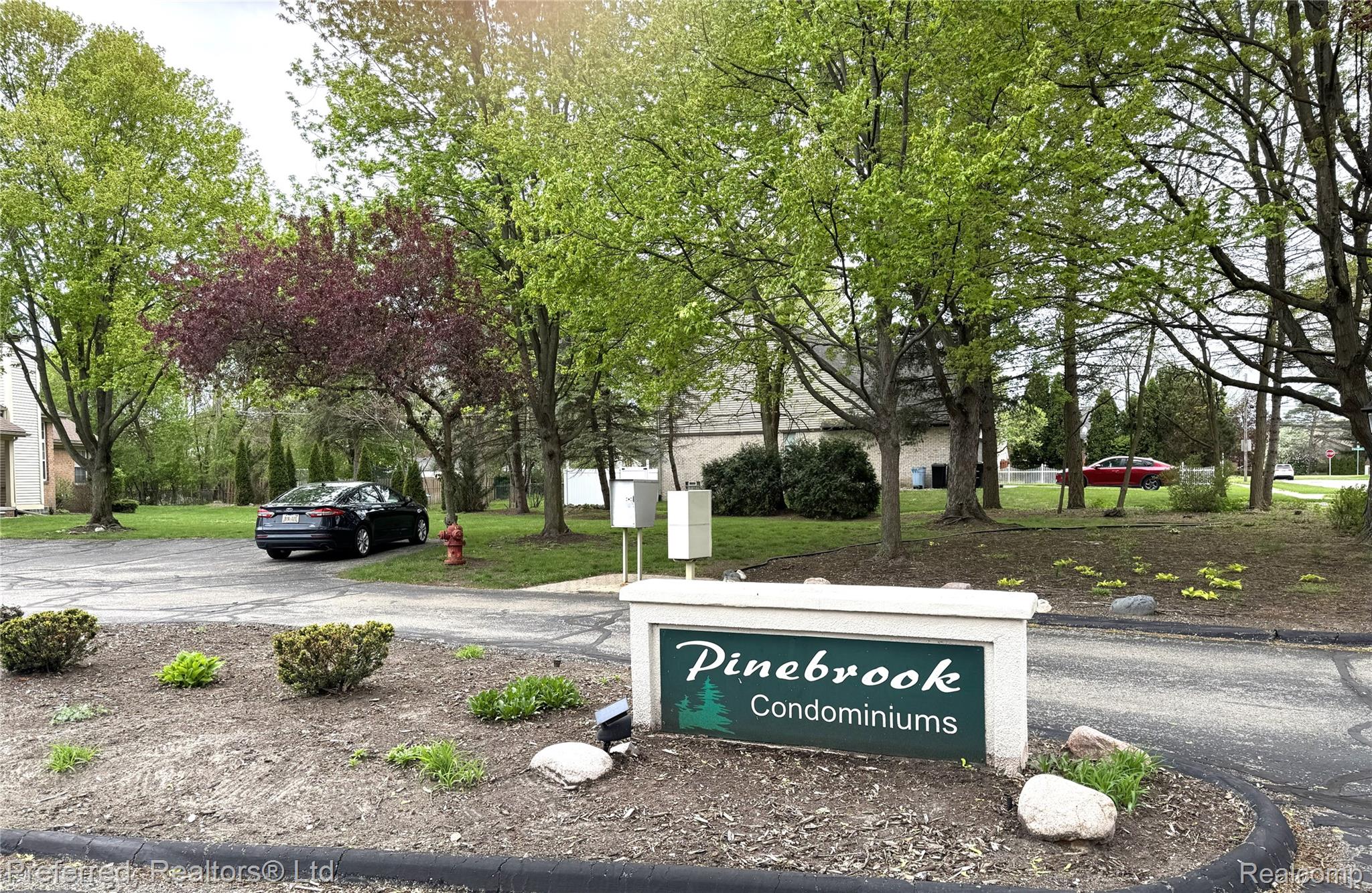 33377 Norfolk Street #3
