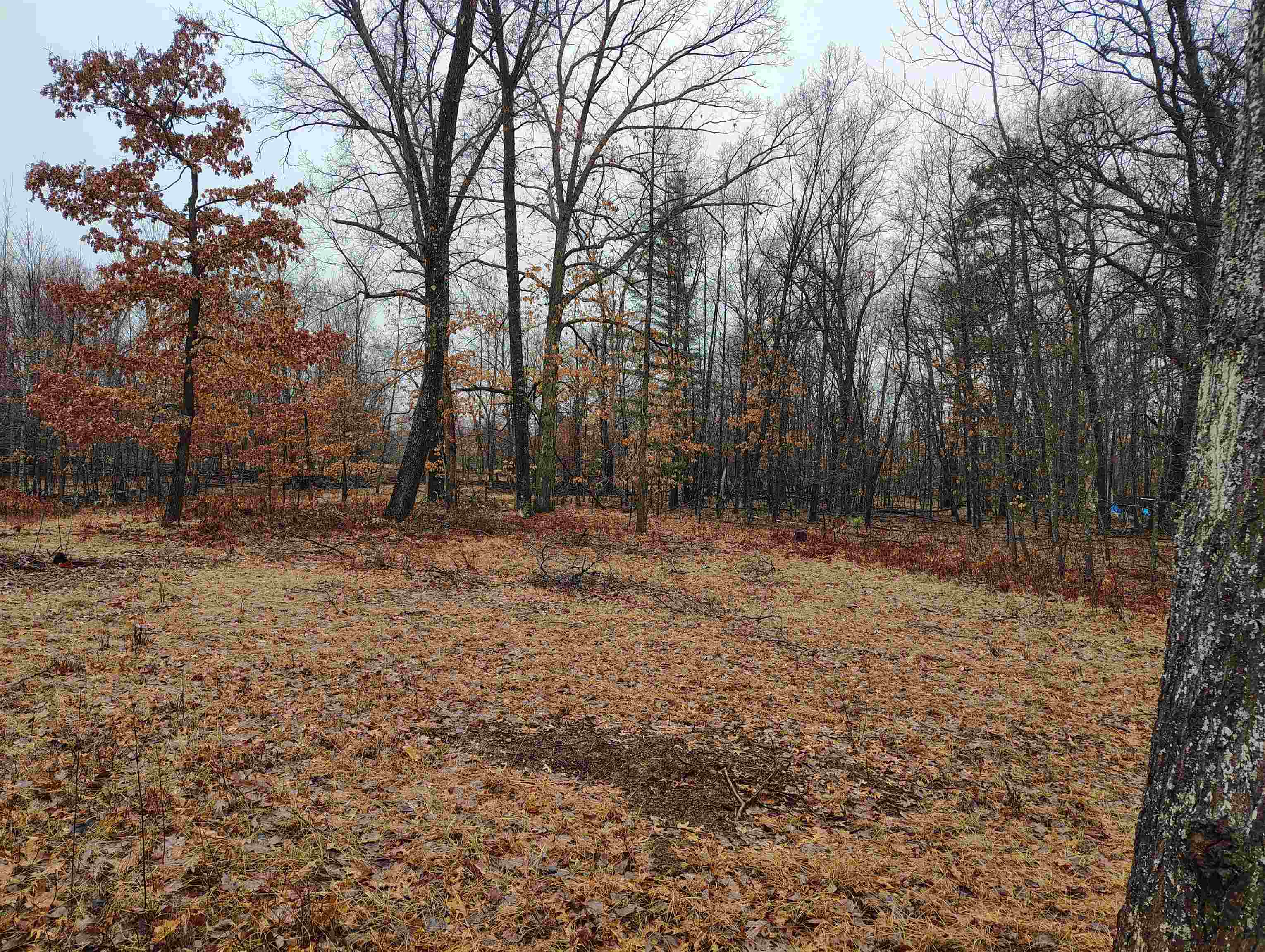 0000 Maple Road