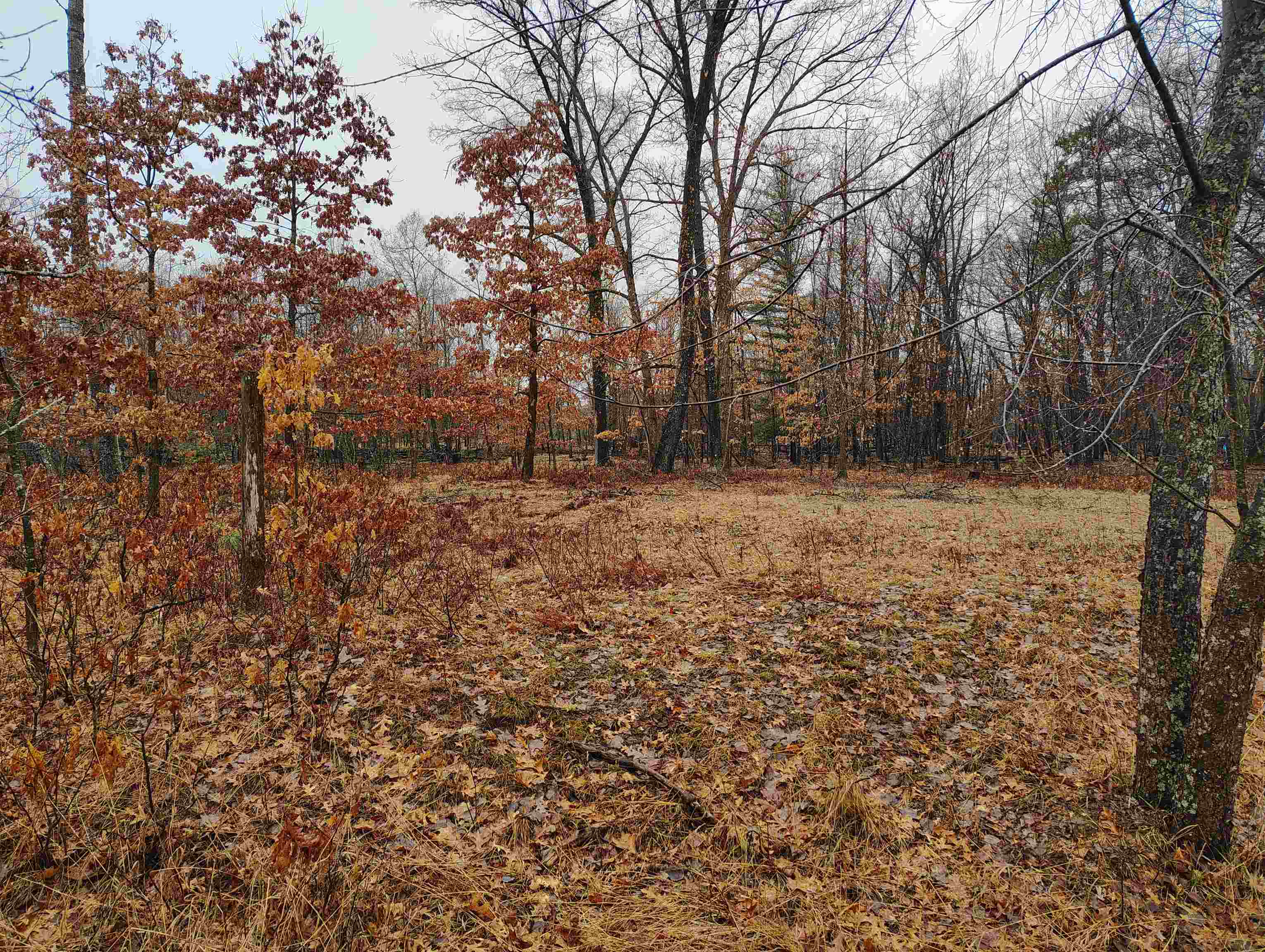 0000 Maple Road